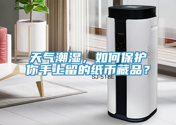 天氣潮濕，如何保護(hù)你手上留的紙幣藏品？