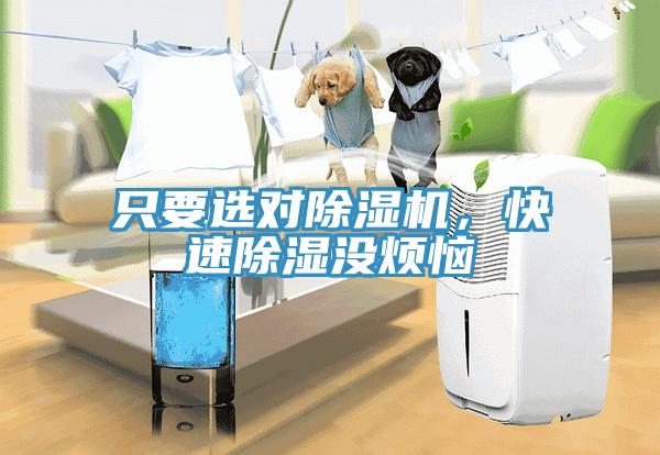只要選對(duì)除濕機(jī)，快速除濕沒煩惱