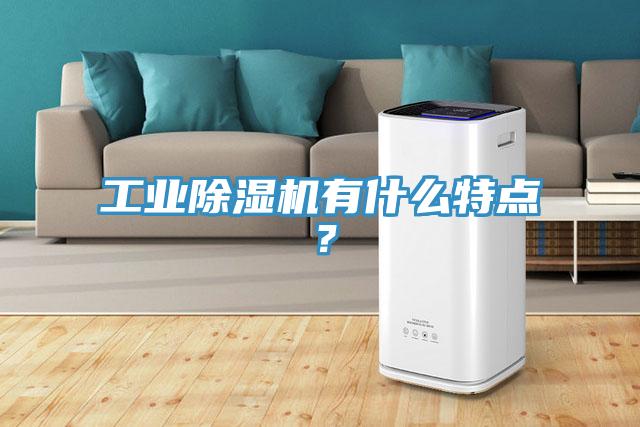 工業(yè)除濕機(jī)有什么特點(diǎn)？