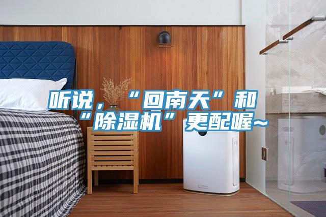 聽說，“回南天”和“除濕機”更配喔~