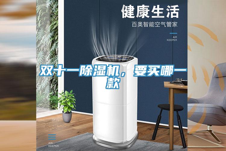 雙十一除濕機(jī)，要買哪一款