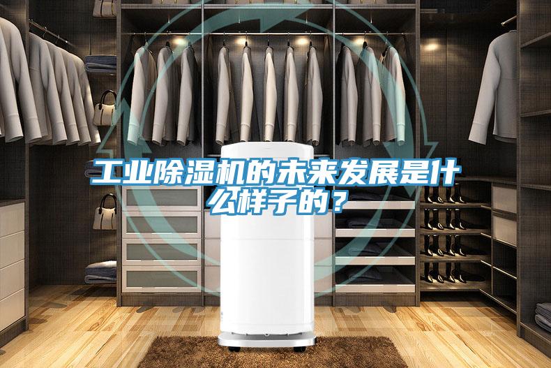 工業(yè)除濕機的未來發(fā)展是什么樣子的？