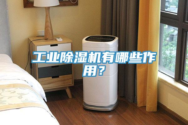 工業(yè)除濕機(jī)有哪些作用？