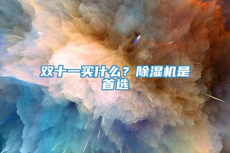 雙十一買什么？除濕機(jī)是首選