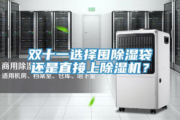 雙十一選擇囤除濕袋還是直接上除濕機？
