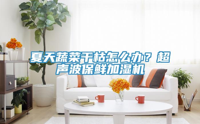 夏天蔬菜干枯怎么辦？超聲波保鮮加濕機(jī)