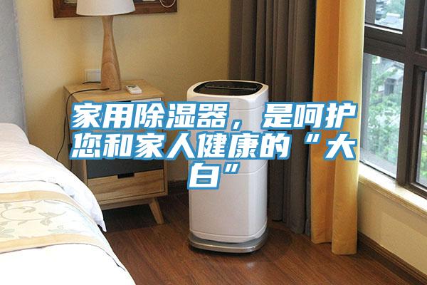 家用除濕器，是呵護(hù)您和家人健康的“大白”