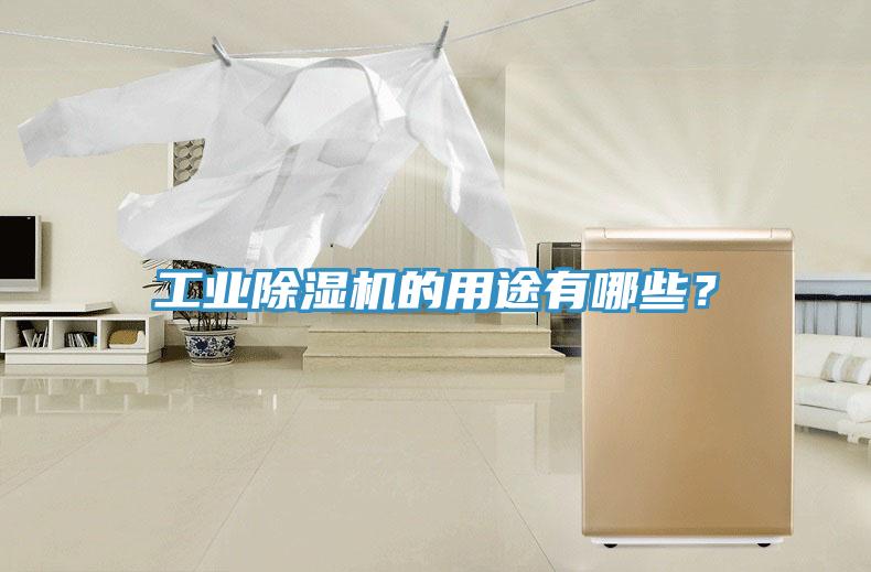 工業(yè)除濕機(jī)的用途有哪些？