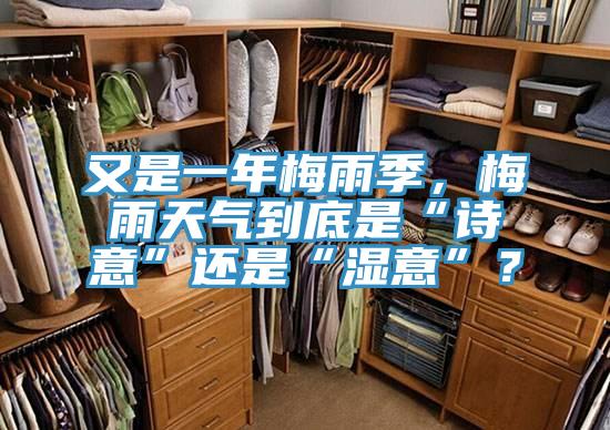 又是一年梅雨季，梅雨天氣到底是“詩(shī)意”還是“濕意”？
