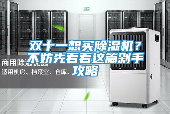 雙十一想買除濕機(jī)？不妨先看看這篇剁手攻略