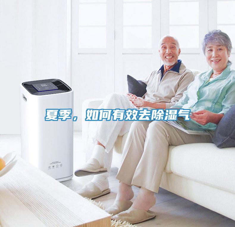 夏季，如何有效去除濕氣