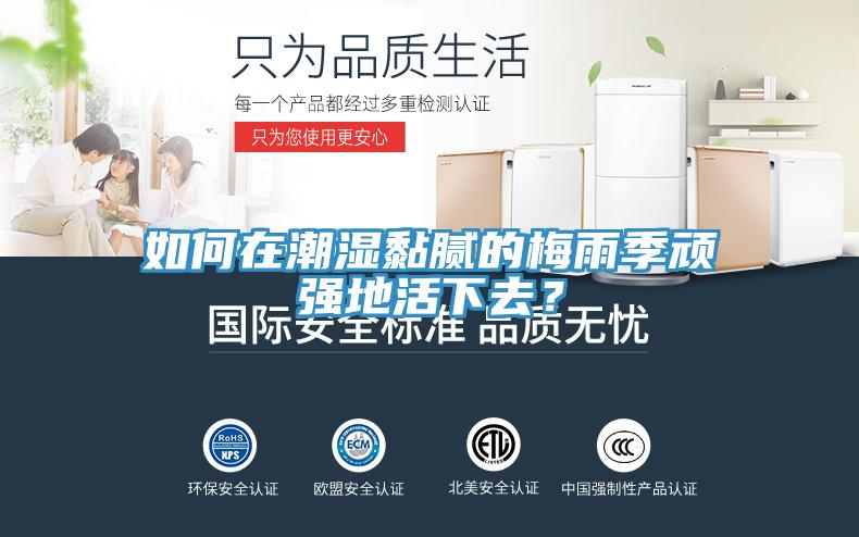 如何在潮濕黏膩的梅雨季頑強(qiáng)地活下去？
