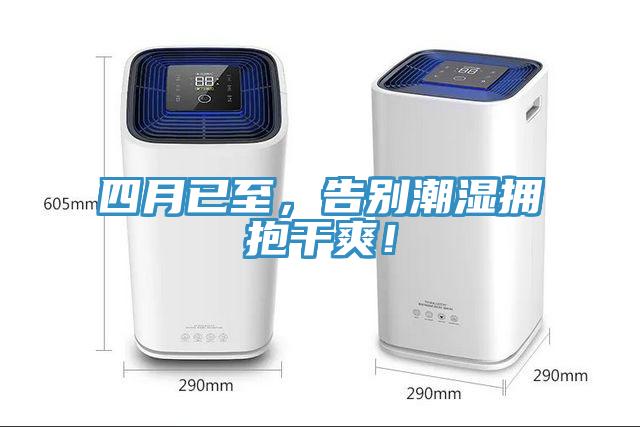 四月已至，告別潮濕擁抱干爽！