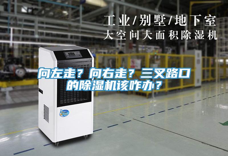 向左走？向右走？三叉路口的除濕機(jī)該咋辦？