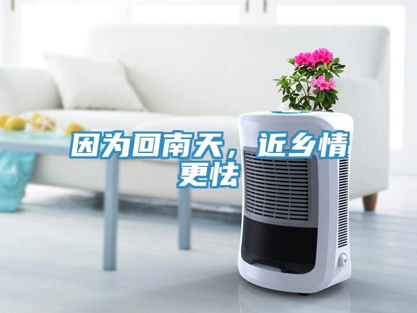 因?yàn)榛啬咸?，近鄉(xiāng)情更怯