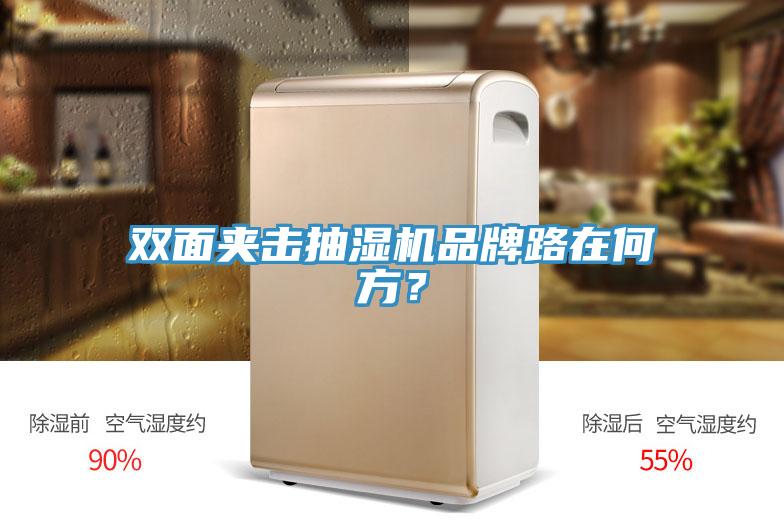 雙面夾擊抽濕機(jī)品牌路在何方？