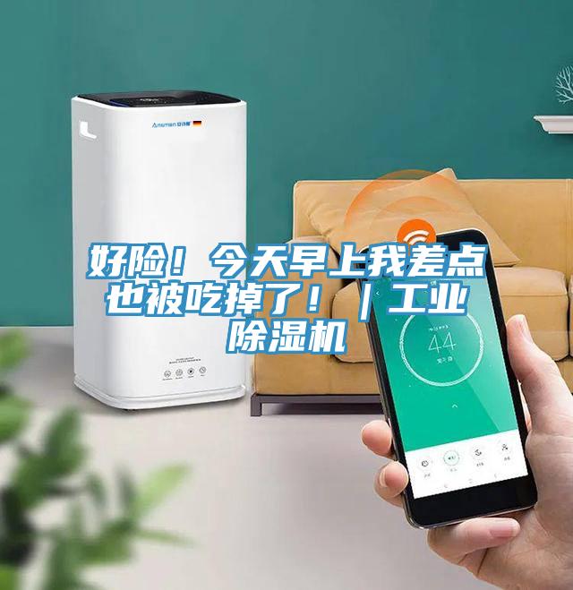 好險！今天早上我差點也被吃掉了?。I(yè)除濕機