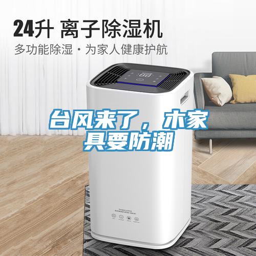 臺風(fēng)來了，木家具要防潮
