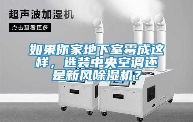 如果你家地下室霉成這樣，選裝中央空調(diào)還是新風除濕機？