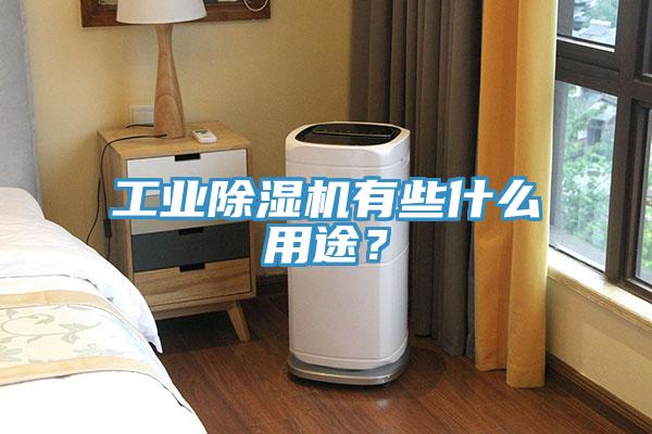 工業(yè)除濕機(jī)有些什么用途？