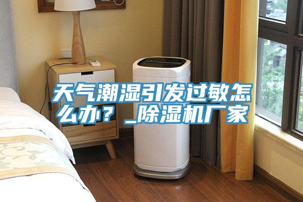 天氣潮濕引發(fā)過敏怎么辦？_除濕機(jī)廠家