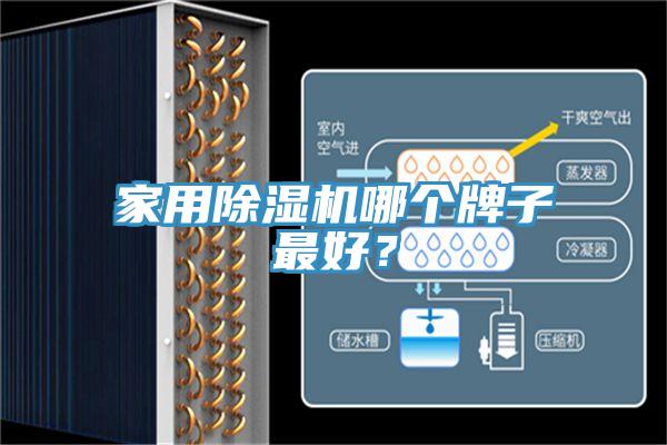家用除濕機哪個牌子最好？