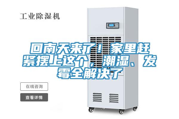 回南天來了！家里趕緊擺上這個，潮濕、發(fā)霉全解決了