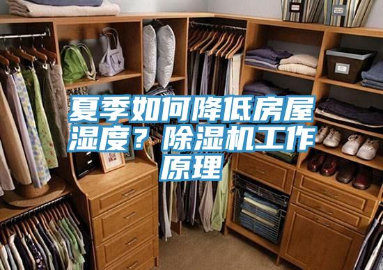 夏季如何降低房屋濕度？除濕機(jī)工作原理