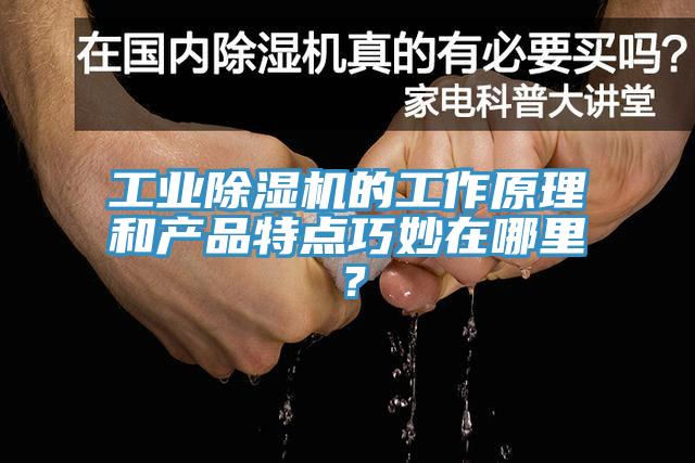 工業(yè)除濕機的工作原理和產(chǎn)品特點巧妙在哪里？
