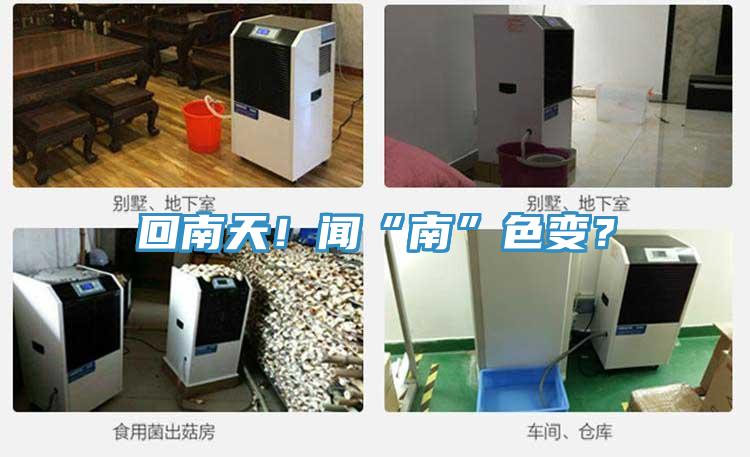回南天！聞“南”色變？