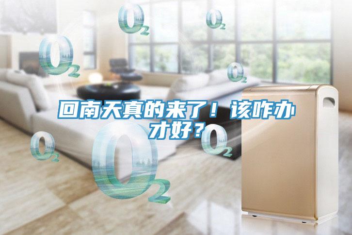 回南天真的來(lái)了！該咋辦才好？