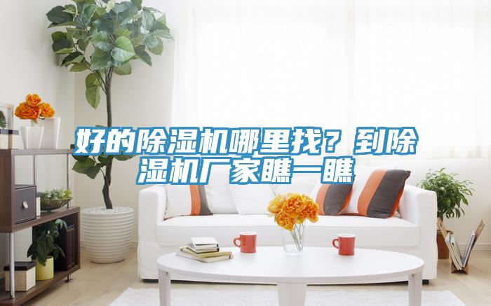 好的除濕機哪里找？到除濕機廠家瞧一瞧