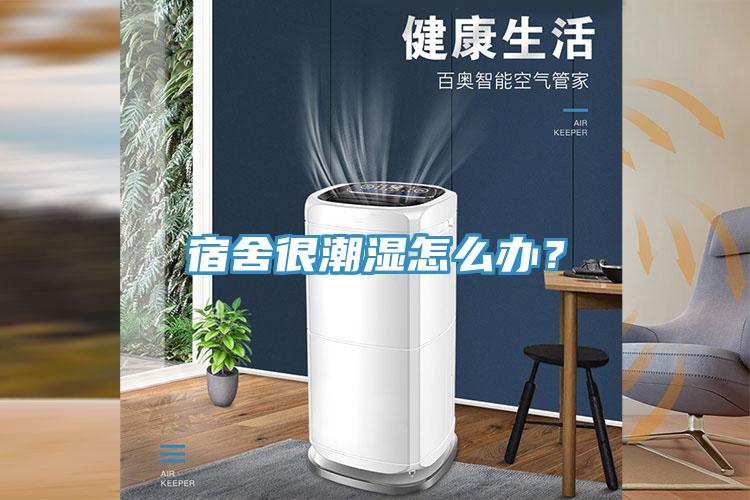 宿舍很潮濕怎么辦？