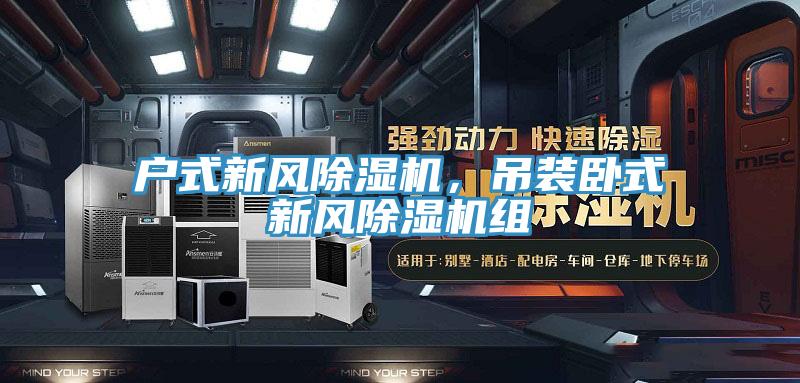 戶式新風(fēng)除濕機(jī)，吊裝臥式新風(fēng)除濕機(jī)組