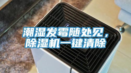 潮濕發(fā)霉隨處見，除濕機(jī)一鍵清除