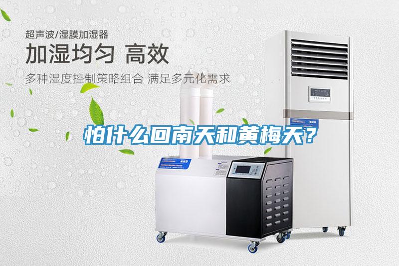 怕什么回南天和黃梅天？