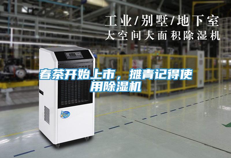 春茶開始上市，攤青記得使用除濕機(jī)