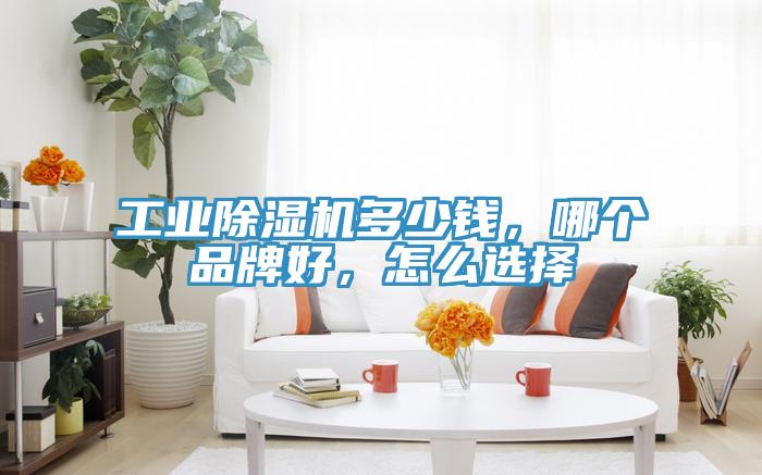 工業(yè)除濕機(jī)多少錢，哪個(gè)品牌好，怎么選擇