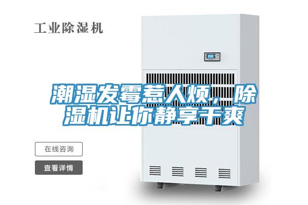 潮濕發(fā)霉惹人煩，除濕機(jī)讓你靜享干爽