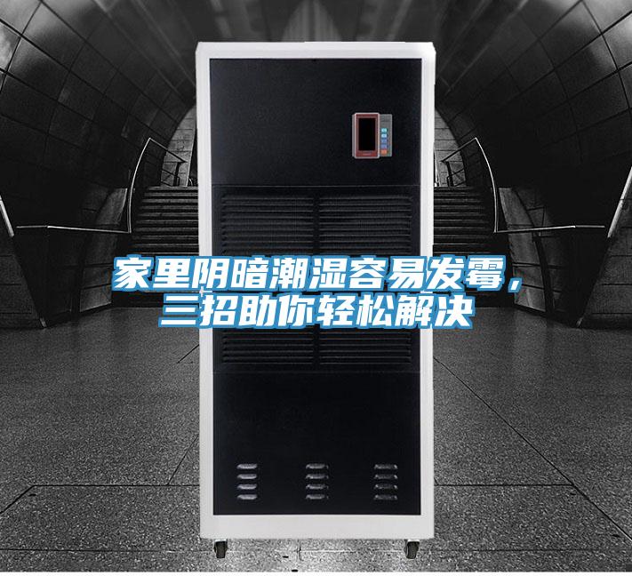 家里陰暗潮濕容易發(fā)霉，三招助你輕松解決
