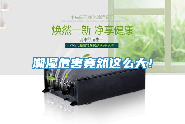 潮濕危害竟然這么大！