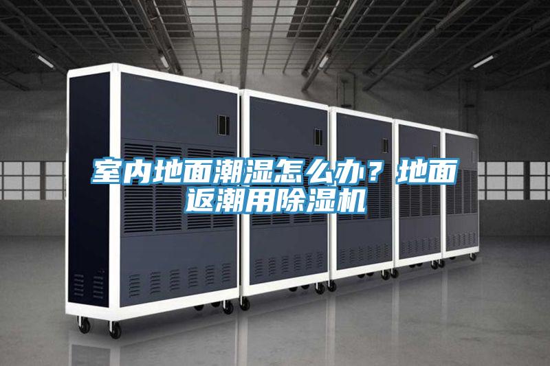室內(nèi)地面潮濕怎么辦？地面返潮用除濕機