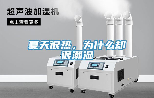 夏天很熱，為什么卻很潮濕