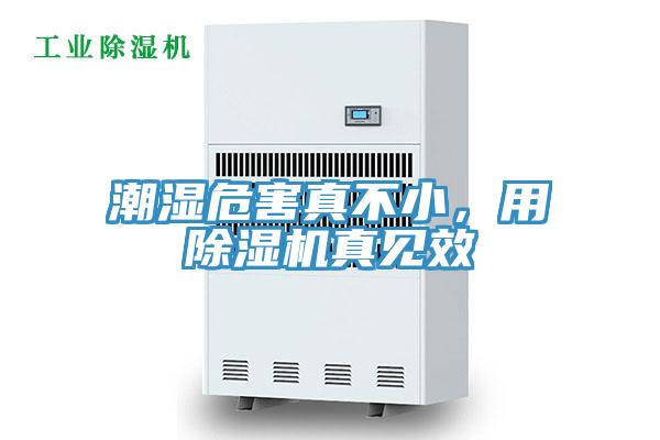 潮濕危害真不小，用除濕機(jī)真見效