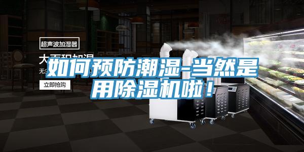 如何預(yù)防潮濕-當(dāng)然是用除濕機(jī)啦！