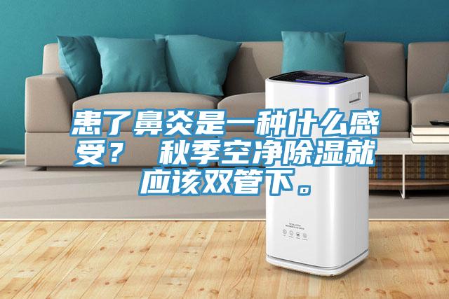 患了鼻炎是一種什么感受？ 秋季空凈除濕就應(yīng)該雙管下。