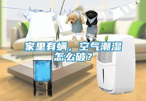 家里有螨，空氣潮濕怎么破？