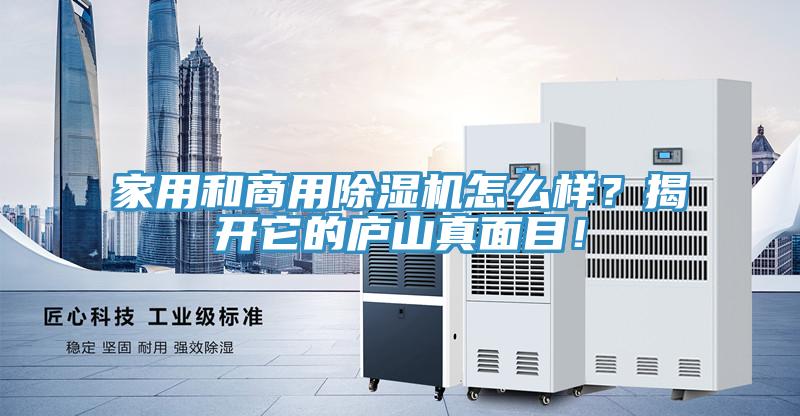 家用和商用除濕機怎么樣？揭開它的廬山真面目！