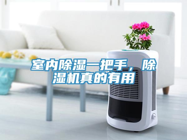 室內(nèi)除濕一把手，除濕機(jī)真的有用