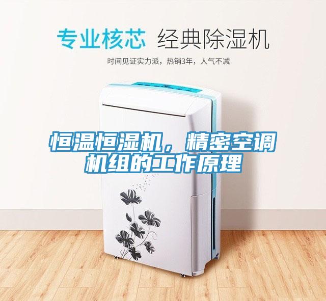 恒溫恒濕機(jī)，精密空調(diào)機(jī)組的工作原理